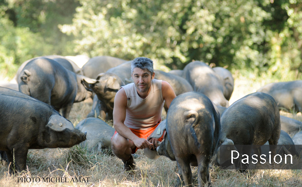 Porc Noir de Bigorre, Passion et élevage